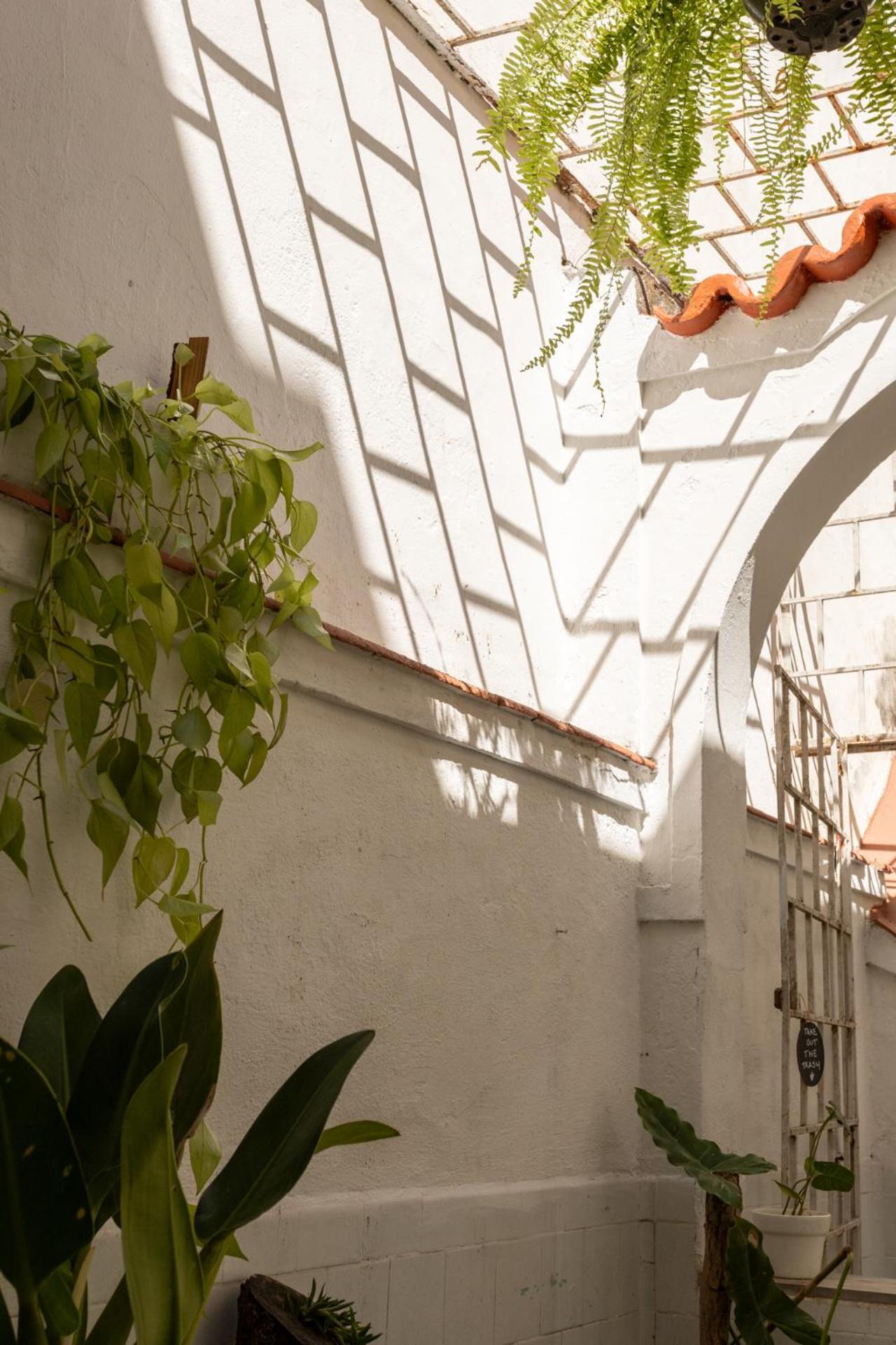 Chez Zany Boutique Hostel - Santa Teresa Rio de Janeiro Exterior photo